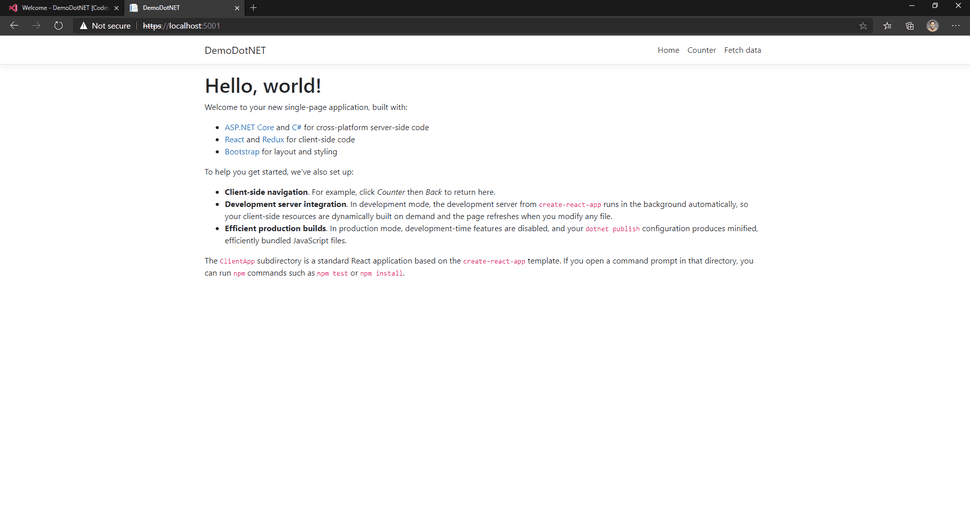 Codespace run